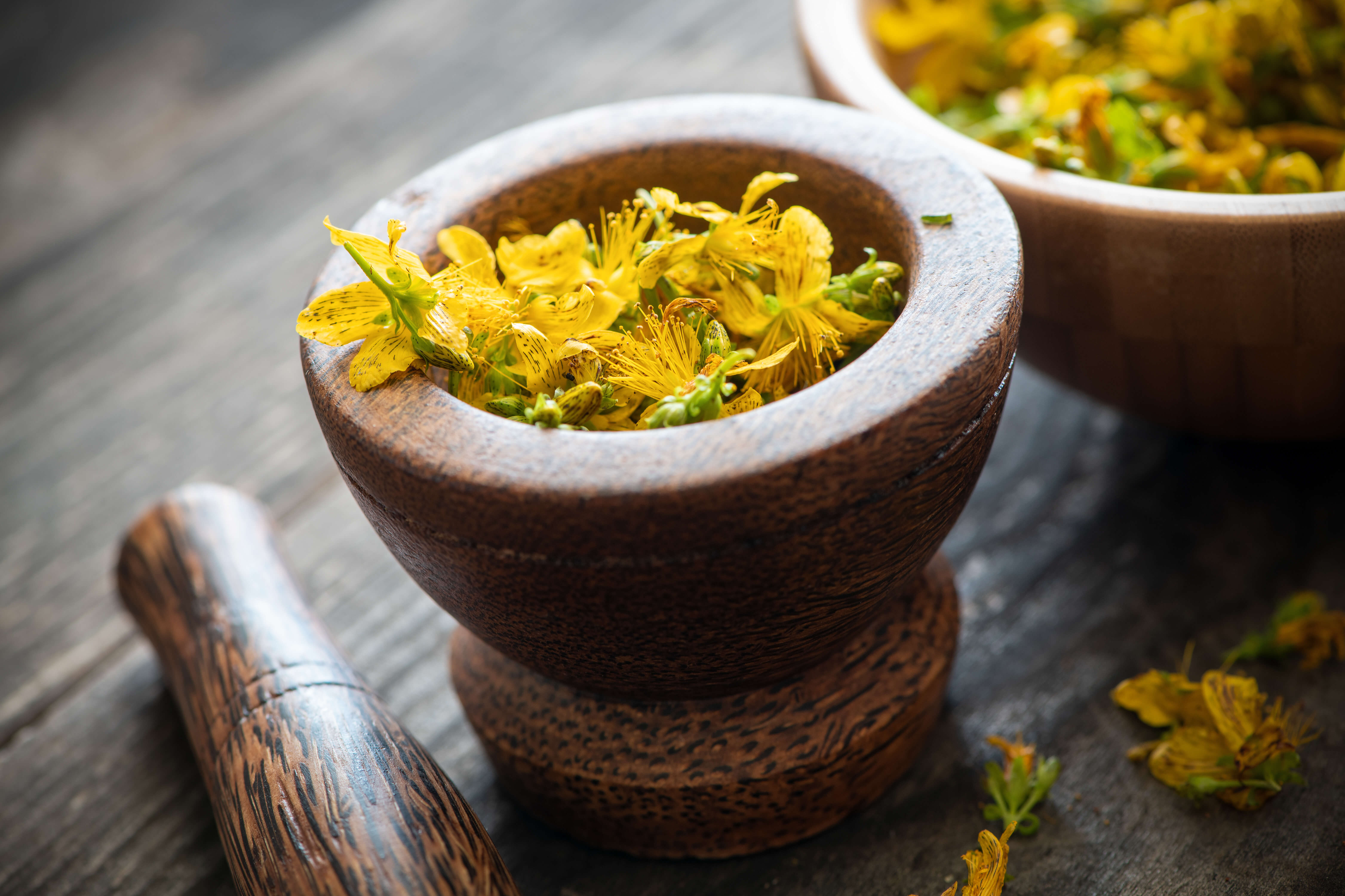 Ľubovník bodkovaný (Hypericum perforatum)