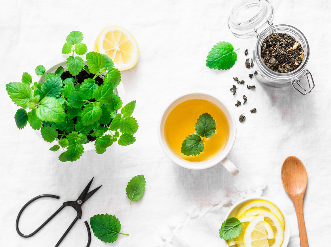 balzam - čaj, bylinky 