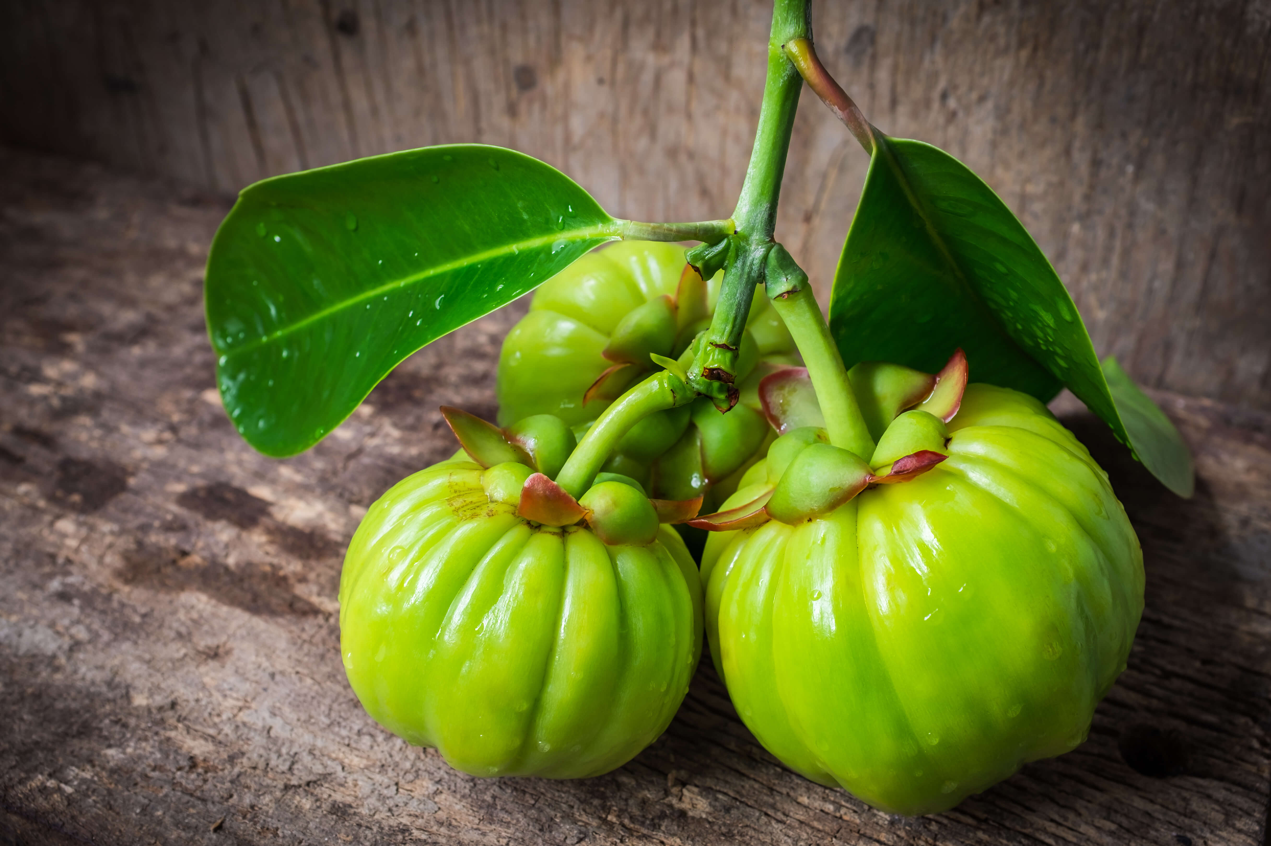 Garcinia cambogia