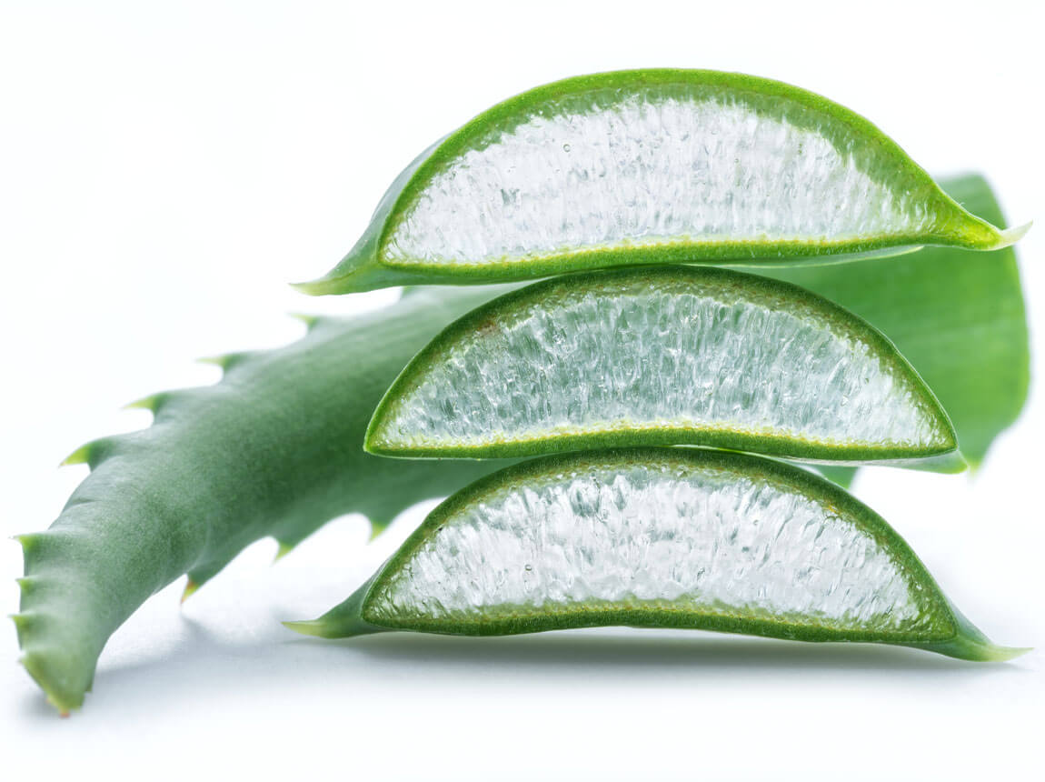 aloes