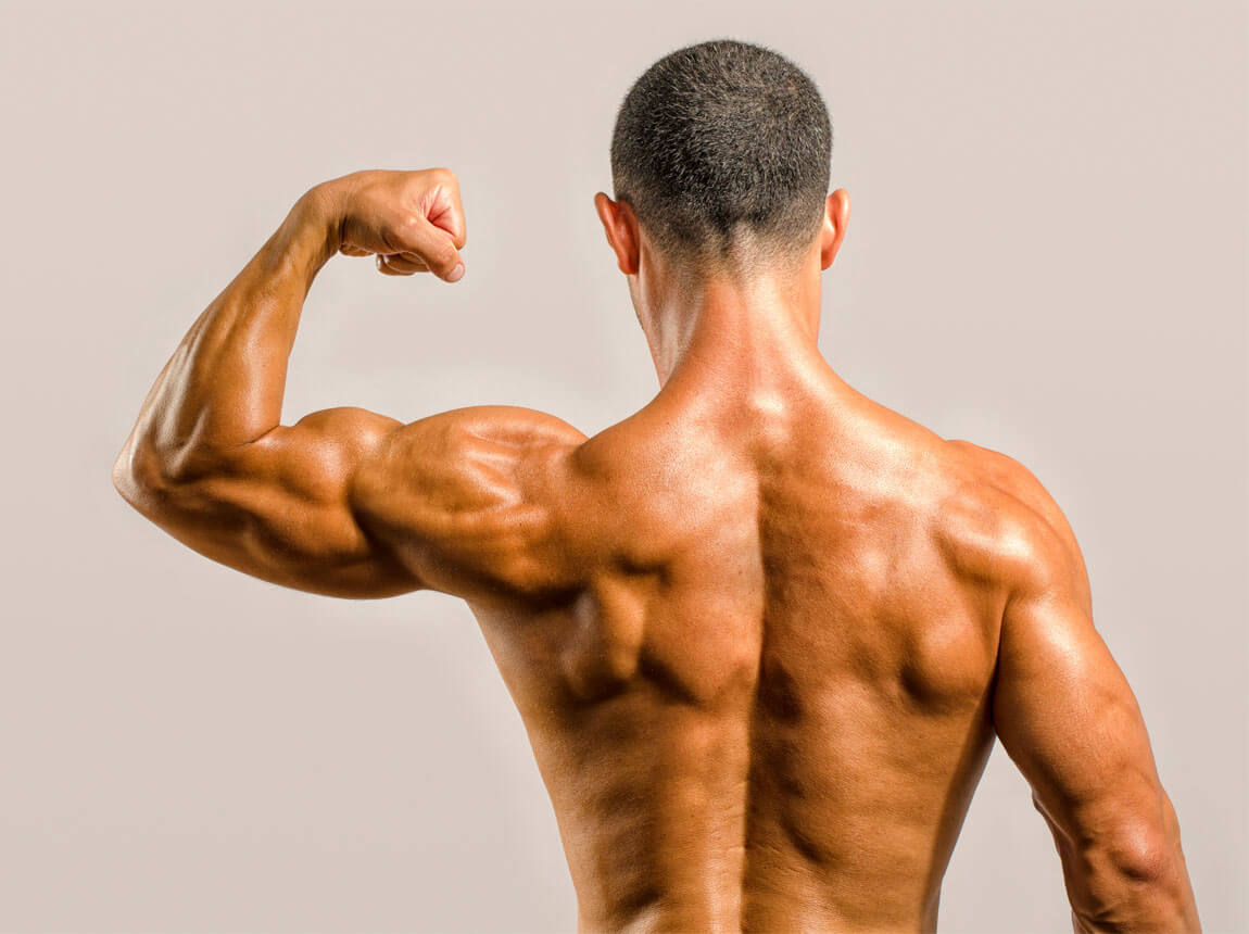 tr&eacute;ning bicepsov