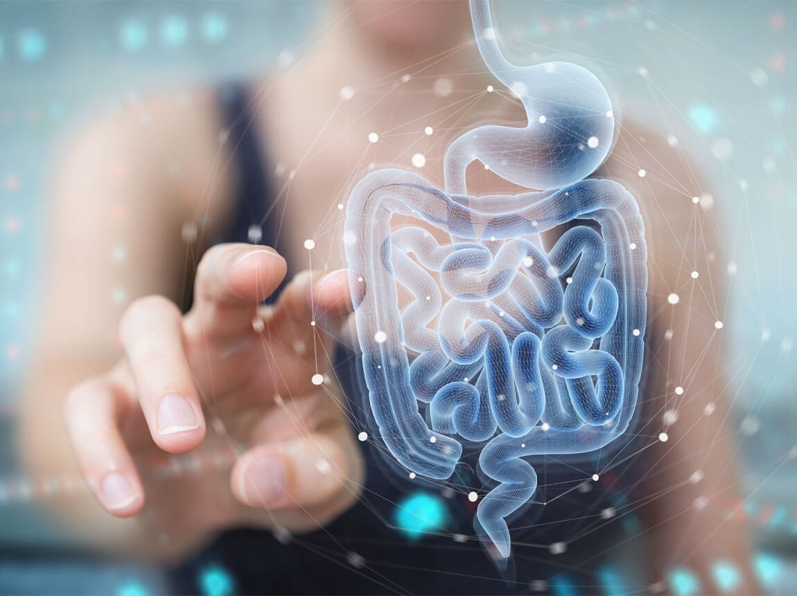 črevá, trávenie, probiotikum