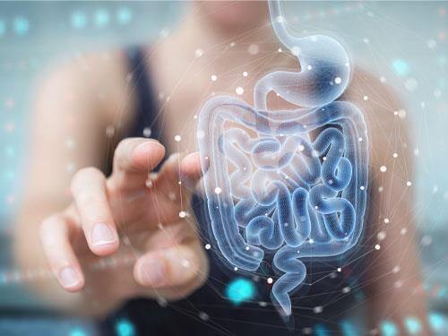 Probiotikum, postbiotikum, synbiotikum a prebiotikum – poznáte rozdiely medzi nimi?