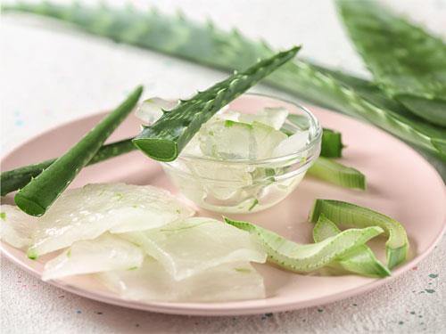 Aloe vera – vlastnosti, účinky a použitie