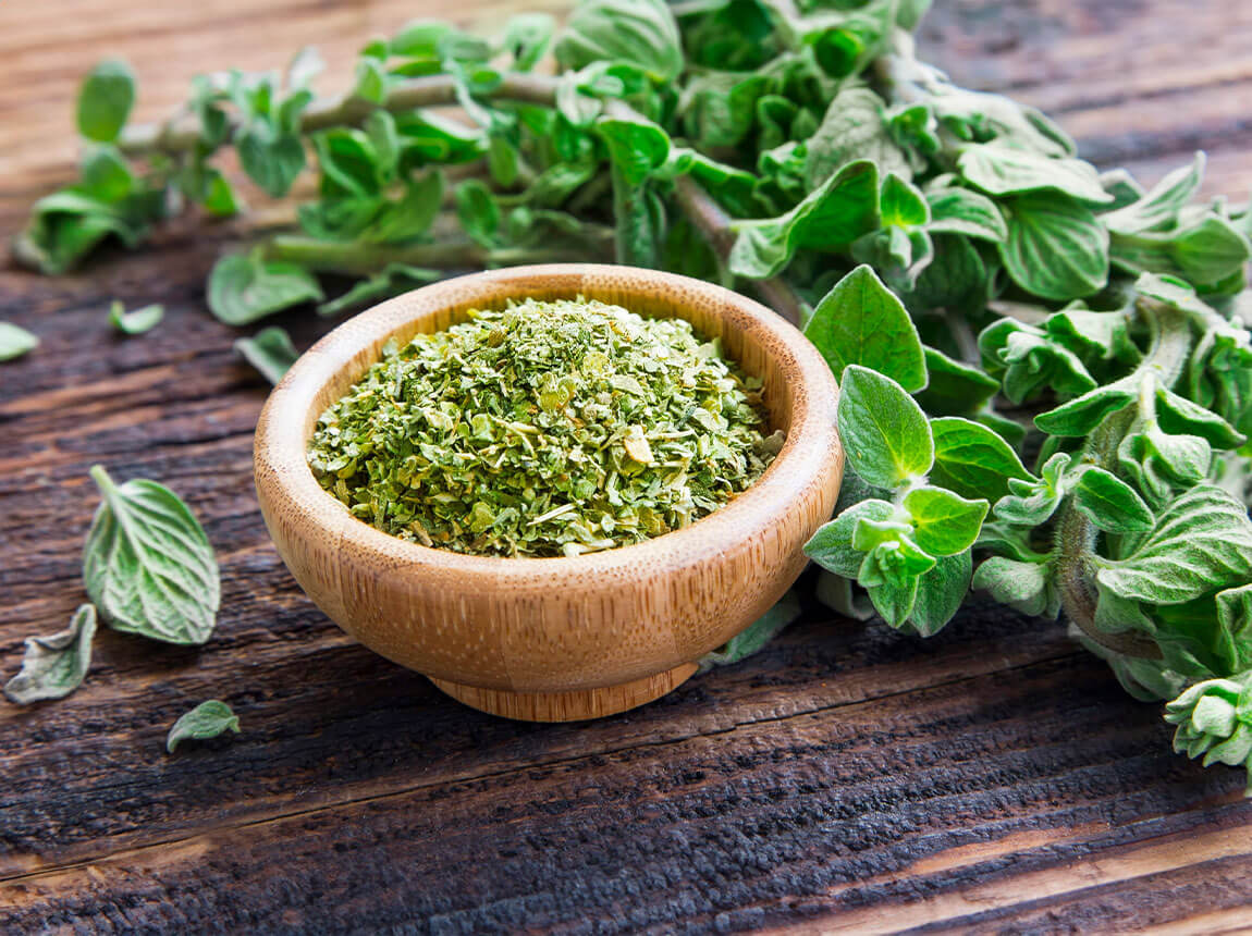 oregano 
