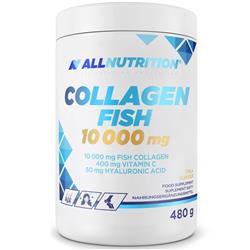 RYBÍ KOLAGÉN 10 000 mg