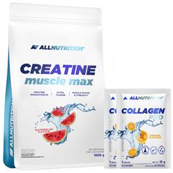 Kreatín monohydrát (Creatine Muscle Max) + darčeky