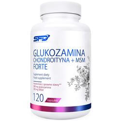 Glukozamín Chondroitín + MSM Forte